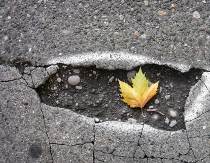 pothole with maple leaf